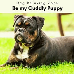 2 0 2 3 Be my Cuddly Puppy - Dog Relaxing Zone