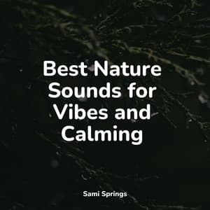 Best Nature Sounds for Vibes and Calming - White Noise Sound Garden