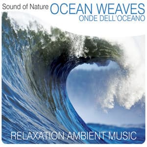Ocean Weaves - Sound of Nature Band