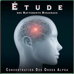 Étude des Battements Binauraux: Apprentissage Créatif Musique - Ondes Alpha