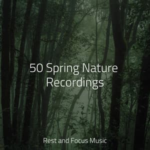 50 Spring Nature Recordings - Deep Focus