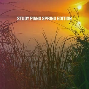 Study Piano Spring Edition - Musica Relajante
