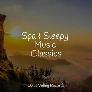 Spa & Sleepy Music Classics - Internal Yoga