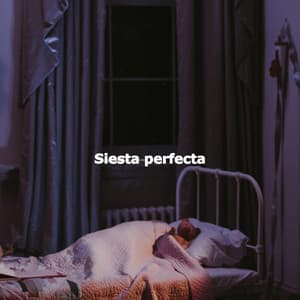 Siesta perfecta - Rilassante Jazz Musica