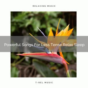 Powerful Songs For Less Tense Relax Sleep - Pure Deep Sleep White Noise