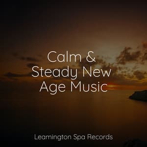Calm & Steady New Age Music - Binaural Creations