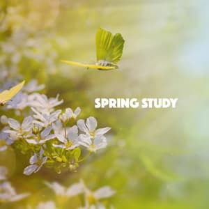 Spring Study - Classical Study Music