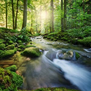 Music For Tranquility: Soft Melodies For Inner Peace - Perfect Meditative Music