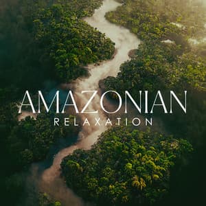 Amazonian Stillness - Dean Peace
