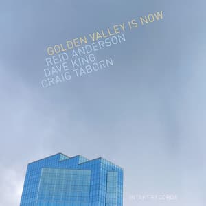 Golden Valley Is Now - Reid Anderson