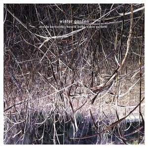 Winter Garden - Eraldo Bernocchi