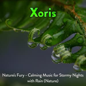 Nature's Fury - Calming Music For Stormy Nights With Rain - Xoris