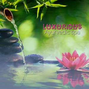 Luxurious Ayurvedic Spa: Dosha Music for Panchakarma Treatment - Ayurveda