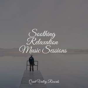 Soothing Relaxation Music Sessions - Relaxation Sleep Meditation