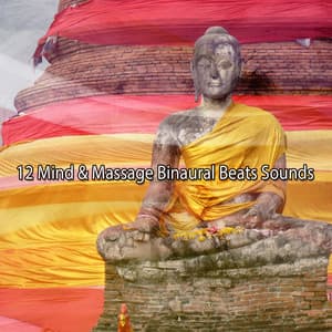 12 Mind & Massage Binaural Beats Sounds - Binaural Sound Engineer