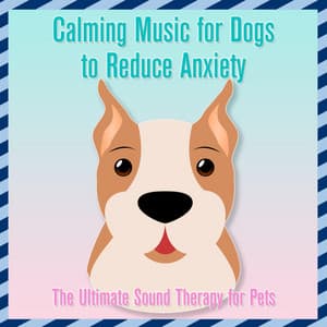 Calming Music for Dogs to Reduce Anxiety : The Ultimate Sound Therapy for Pets - Relaxmydog