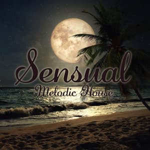 Sensual Melodic House – Formentera Beach Club 2023 - Melodic House Machine