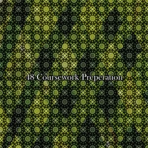 48 Coursework Preperation - Study Concentration