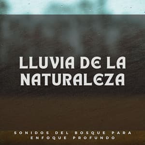 Lluvia De La Naturaleza: Sonidos Del Bosque Para Enfoque Profundo - Danny sonidos de lluvia