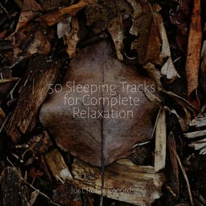 50 Sleeping Tracks for Complete Relaxation - Dormir