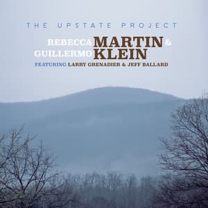 Upstate - Rebecca Martin