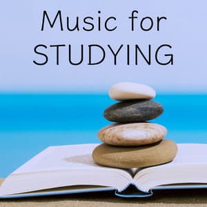 Music for Studying - Relaxation Study Music