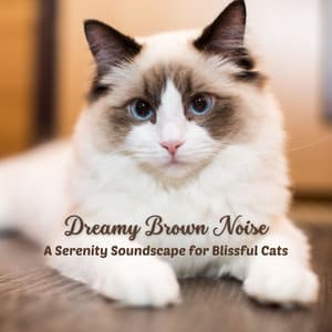 Dreamy Brown Noise: A Serenity Soundscape for Blissful Cats - Hi Freq Samples