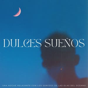 Dulces Sueños: Una Noche Relajante Con Los Sonidos De Las Olas Del Océano - Las Olas Del Mar