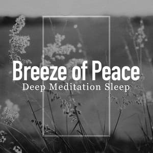 Breeze of Peace - Deep Meditation Sleep