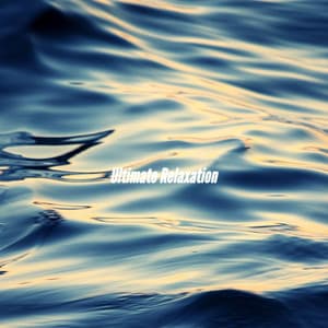 Ultimate Relaxation - Saturday Morning Jazz Playlist