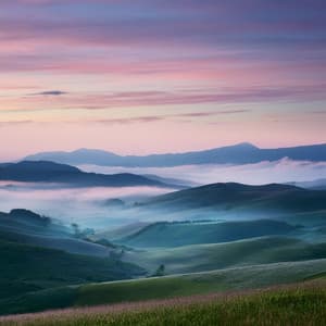 Voces Orquestales: Cadencias Dinámicas - Sonidos WP