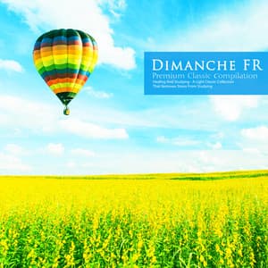 A Light Classic Collection That Removes Stress from Studying - Dimanche FR