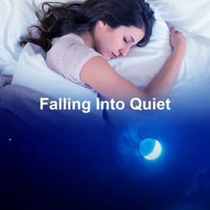 Falling Into Quiet - Deep Meditation Sleep