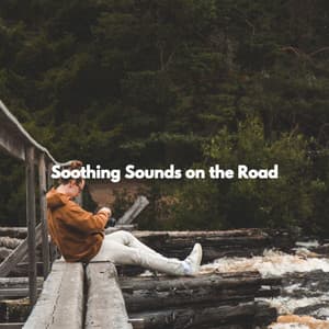 Soothing Sounds on the Road - Jazz Acustico