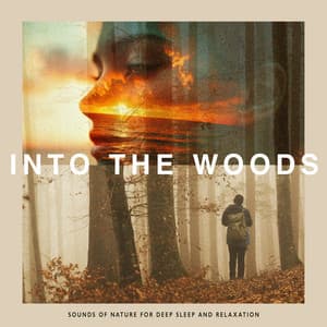 Into The Woods - Sounds of Nature for Deep Sleep and Relaxation