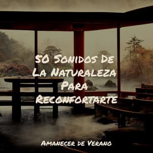 50 Sonidos De La Naturaleza Para Reconfortarte - Canciones Infantiles