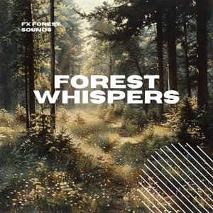 Forest Whispers: Gentle Woodland Sounds - FX Forest Sounds