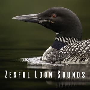 Zenful Loon Sounds - Forest Sounds