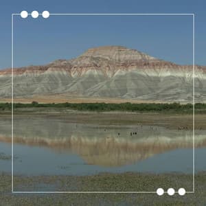 Delightful - Happy Coffee Shop Music