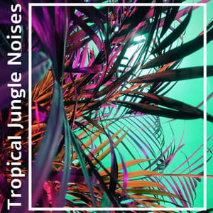 Tropical Jungle Noises – Ambient Nature and Animals Sounds Collection - The Calming Sounds Of Nature