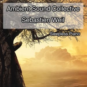 Sleepless Piano - Ambient Sound Collective