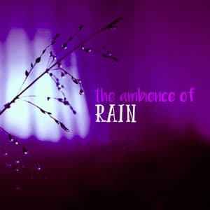 The Ambience of Rain - Relaxing Nature Ambience