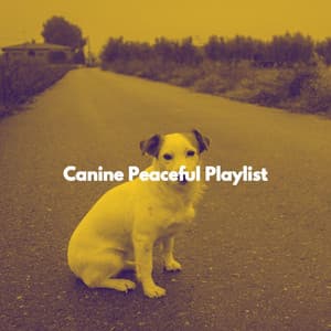 Canine Peaceful Playlist - Soft Jazz Cafe