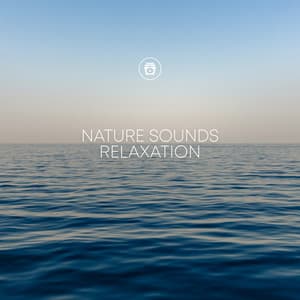 Nature Sounds Relaxation - Sounds Of The Sea