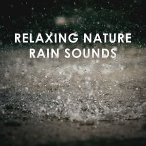 Relaxing Nature Rain Sounds: Stress Relief Sleep Meditation - Calming Rain