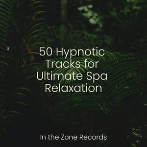 50 Hypnotic Tracks for Ultimate Spa Relaxation - Meditation Relaxation Club