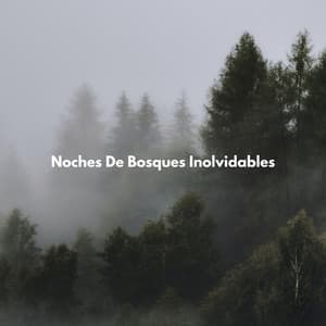 Noches De Bosques Inolvidables - Sonidos Del Bosques
