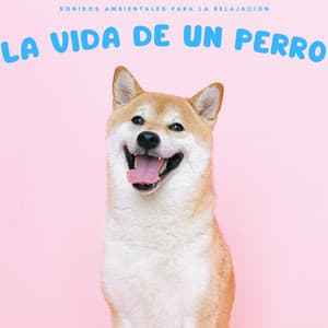 La Vida De Un Perro: Sonidos Ambientales Para La Relajación - Música de la Naturaleza