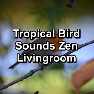 Tropical Bird Sounds Zen Livingroom - Sounds and Birds Song
