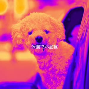 公園でお昼寝 - Musica para Hoteles